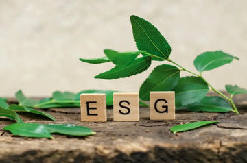 ESG-Focused Endowments and Foundations: Driving Change Through Responsible Investing Uber Finance